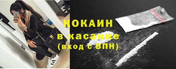 индика Абинск