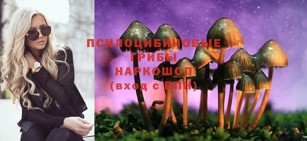 твердый Алексеевка