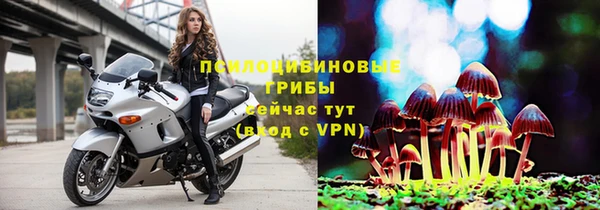 индика Абинск