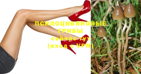 твердый Алексеевка