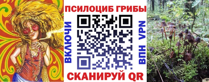 Галлюциногенные грибы Psilocybine cubensis  shop Telegram  Людиново 